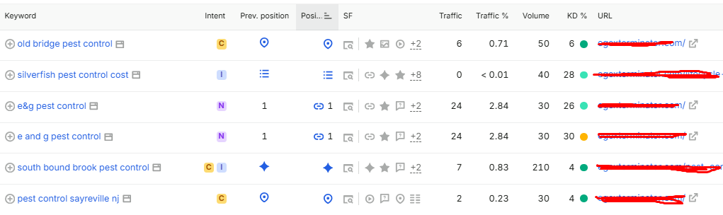 Website Pages and Posts